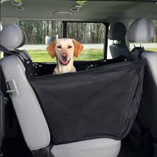transporte seguro mascotas taxi almería